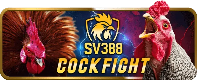 Cá cược có trách nhiệm 555win 22